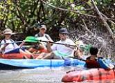  Kauai Tours